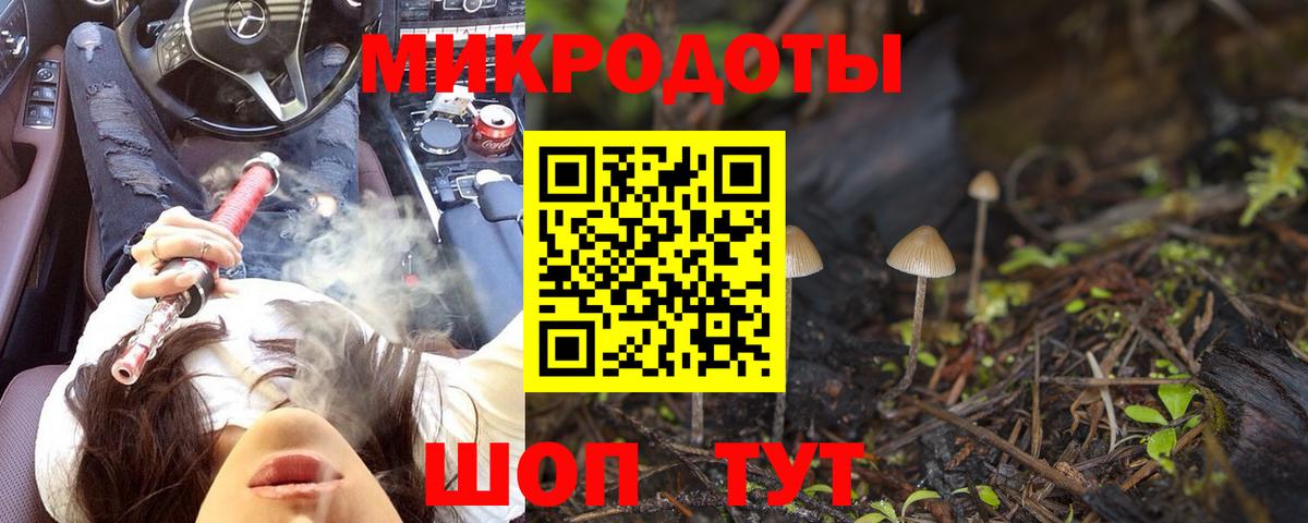 купить   Вход с VPN  Сланцы  Псилоцибиновые грибы GOLDEN TEACHER 