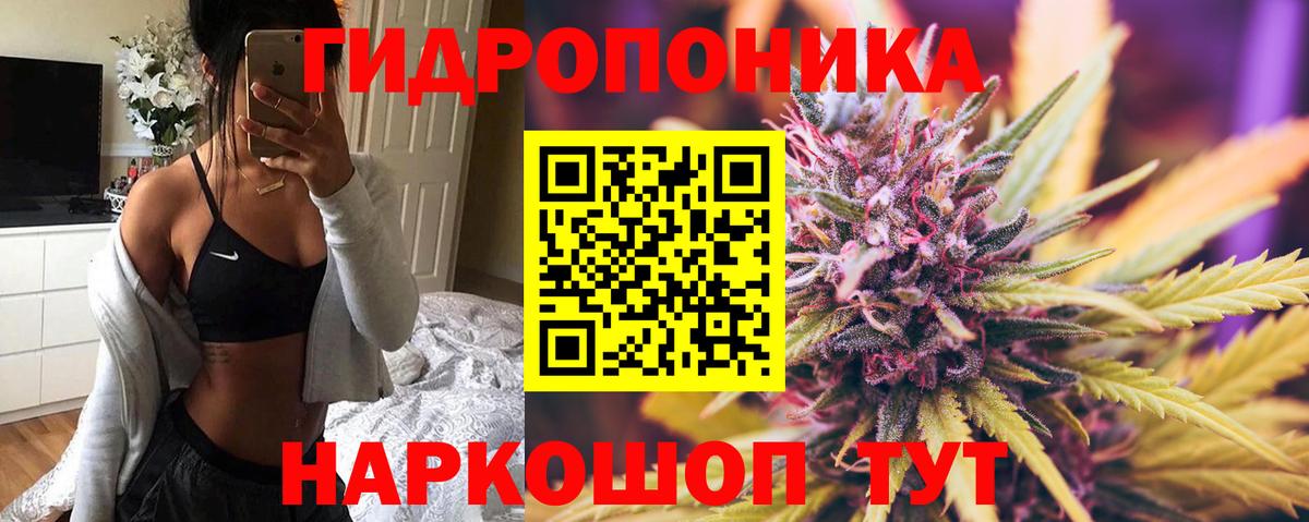 Бошки Шишки AK-47 Сланцы